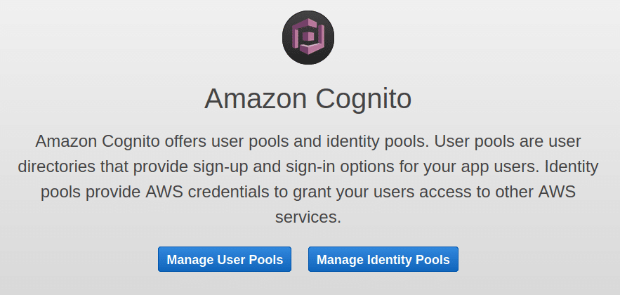 AWS Cognito entry page